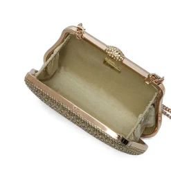 Chic Embellished Clutch Bag AD 119