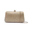 Crystal Elegance Clutch AD 144