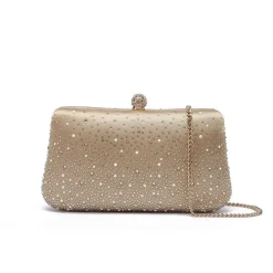 Crystal Elegance Clutch AD 144