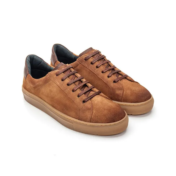 Low Top Sneakers PSV 041
