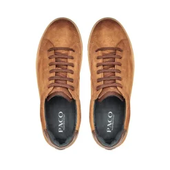 Low Top Sneakers PSV 041