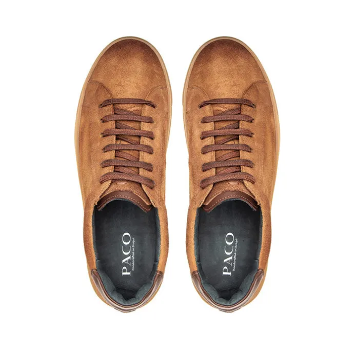 Low Top Sneakers PSV 041