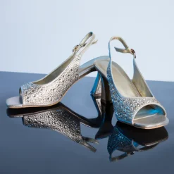 Starry Night Mules HL 207