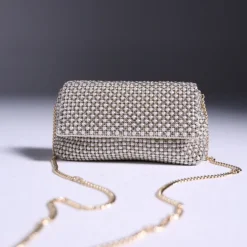 Stunning evening Bag AD 126