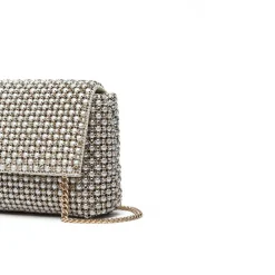 Stunning evening Bag AD 126