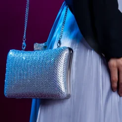 The Meticulous Evening Bag AD 137