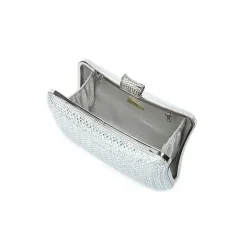 The Meticulous Evening Bag AD 137