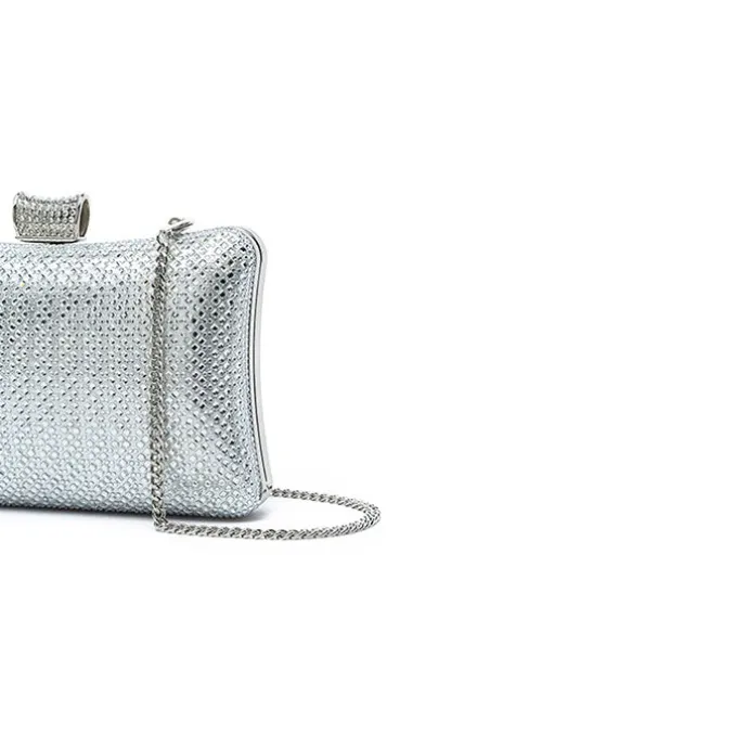 The Meticulous Evening Bag AD 137