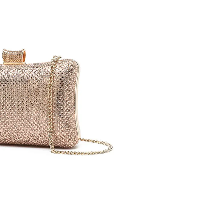 The Meticulous Evening Bag AD 137
